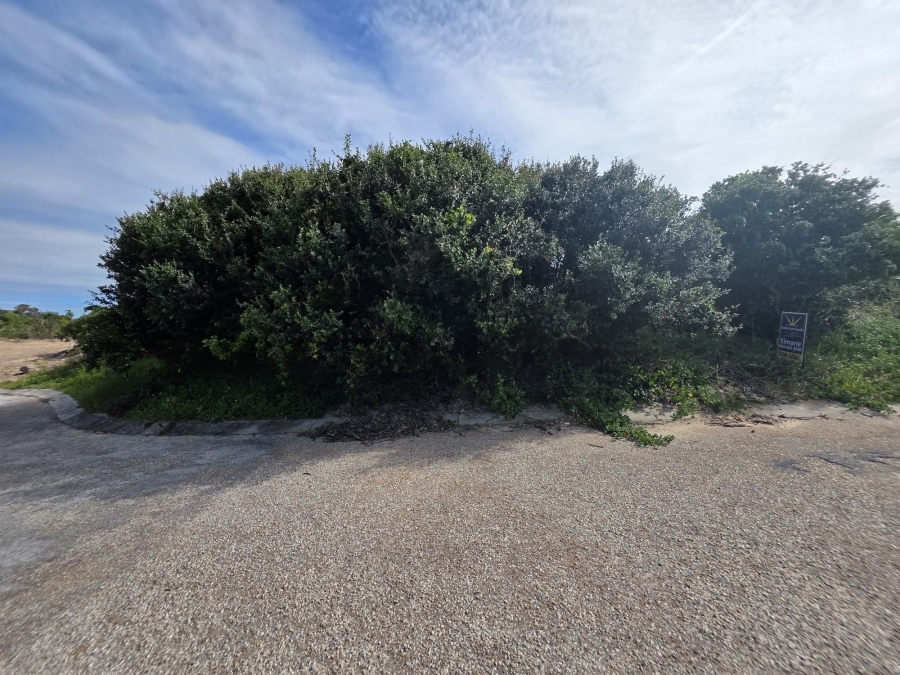0 Bedroom Property for Sale in Paradise Beach Eastern Cape